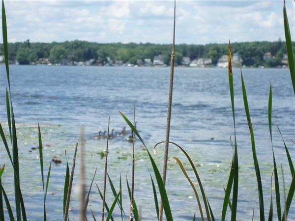 7280 Kenward St - Photo 3 of 19