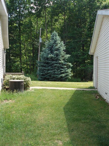 10071 Town Rd - Photo 2 of 23