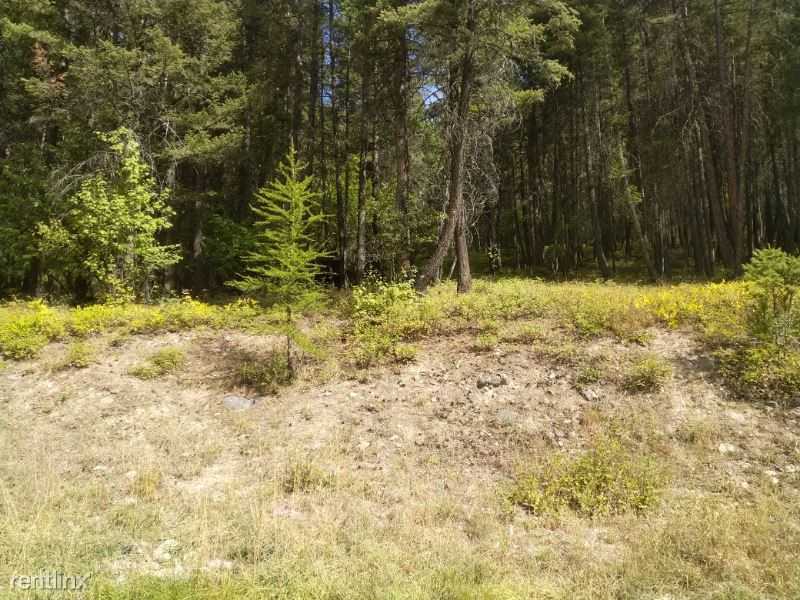 344 Peters Creek Way - Photo 3 of 5