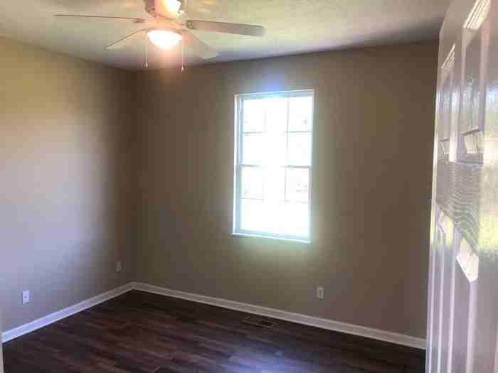 706 Green Fern Trail - Photo 3 of 19