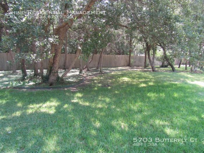 5703 Butterfly Ct - Photo 3 of 37