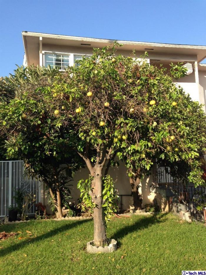 721 W Glenoaks Boulevard - Photo 3 of 27