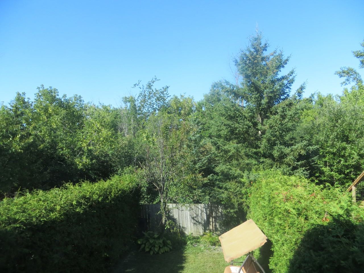 47 Banchory Cres. - Photo 3 of 7