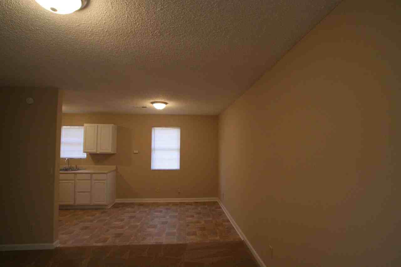 4525 Rolling Hill Dr - Photo 3 of 14