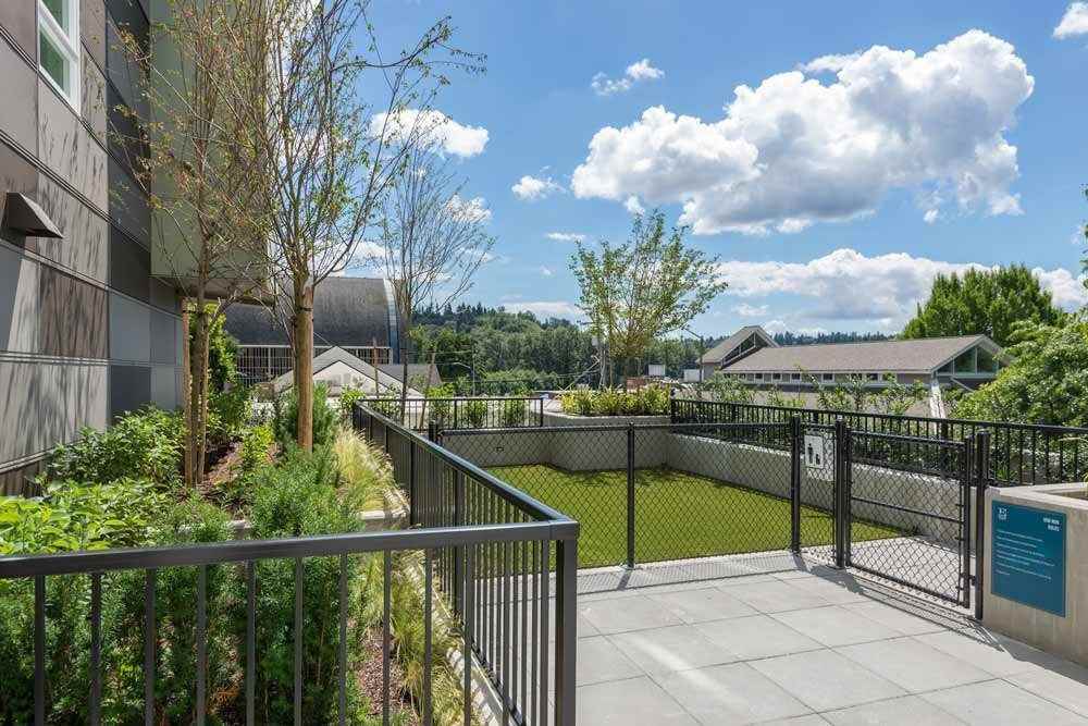 Edition - Photo 3 of 20