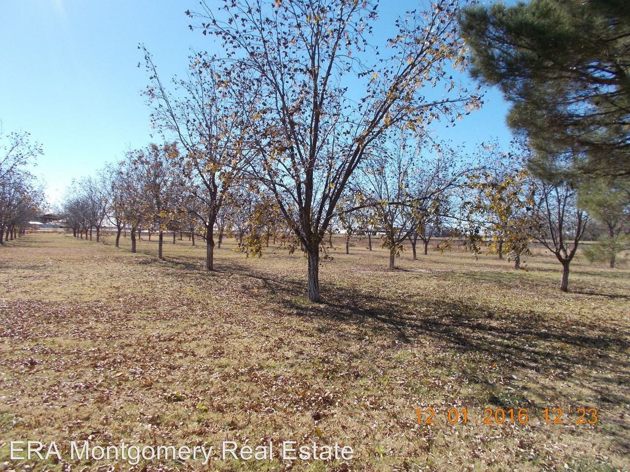 3707 Pineview - Photo 3 of 15