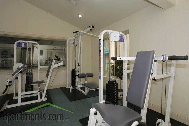 Meadows II Apartment Homes - Photo 3 of 14