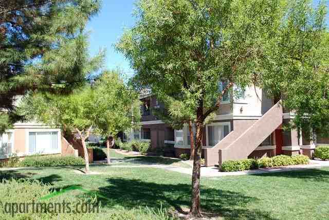 Adiamo - Photo 3 of 23