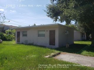 14356 Lucerne Dr 101 Tampa Fl 33613 1 Bedroom Apartment For