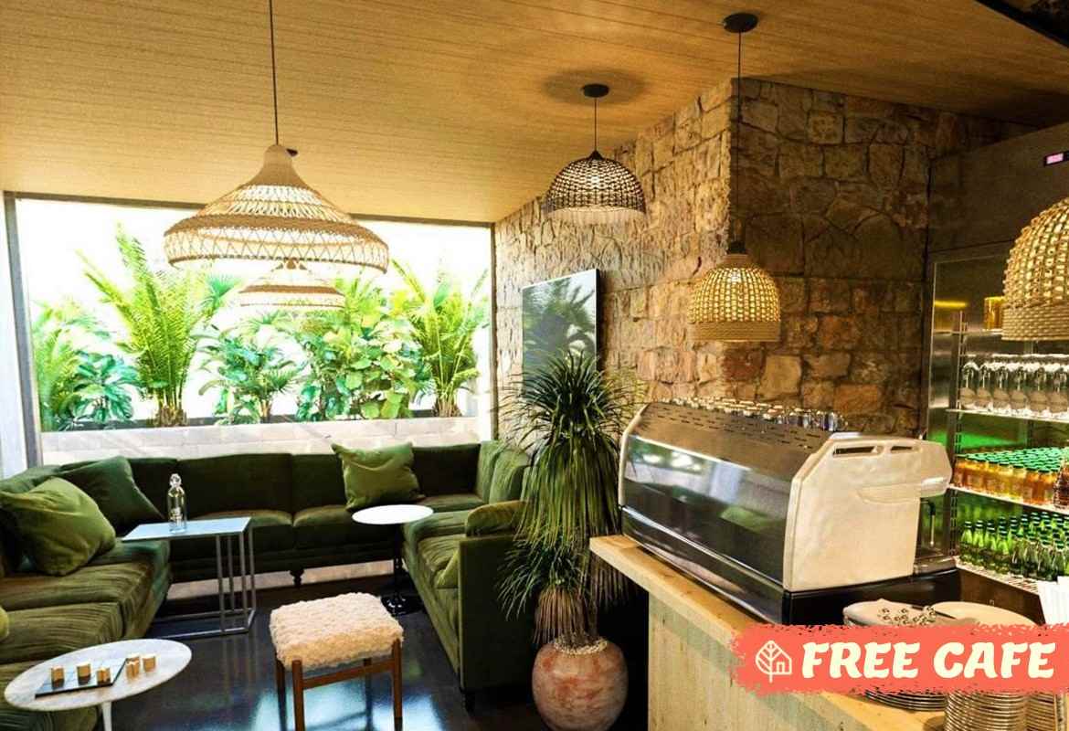 Treehouse Co-Living - Photo 7 of 35