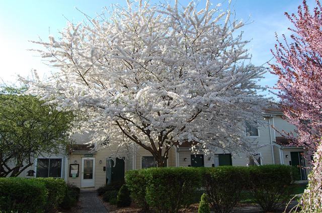 Glenbrook East Apartments - Photo 3 of 17