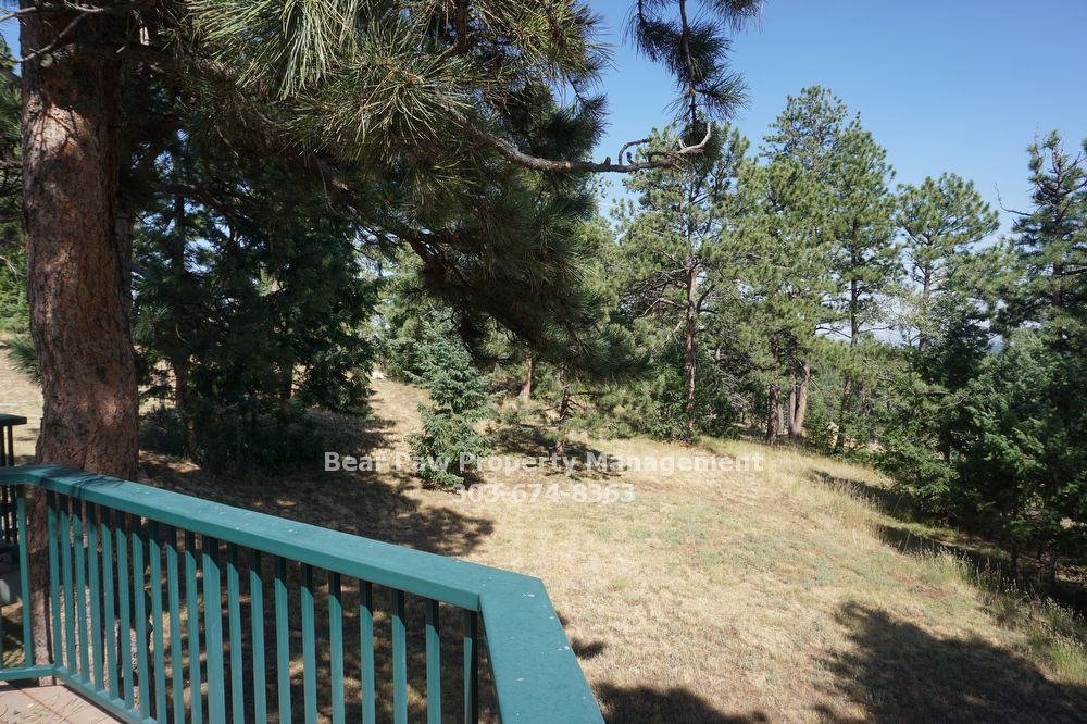 11752 Arnett Ranch Rd - Photo 3 of 26