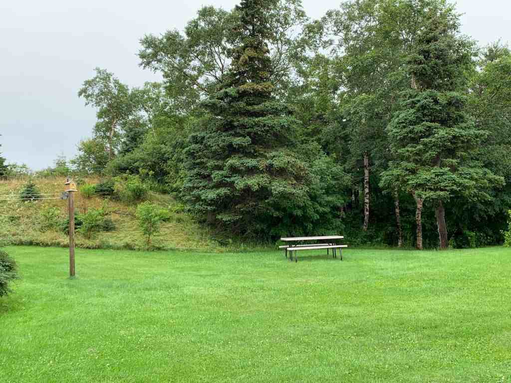 54 Charter Ave Apartments in Pleasantville, St. John's, NL A1A 3S5 Zumper