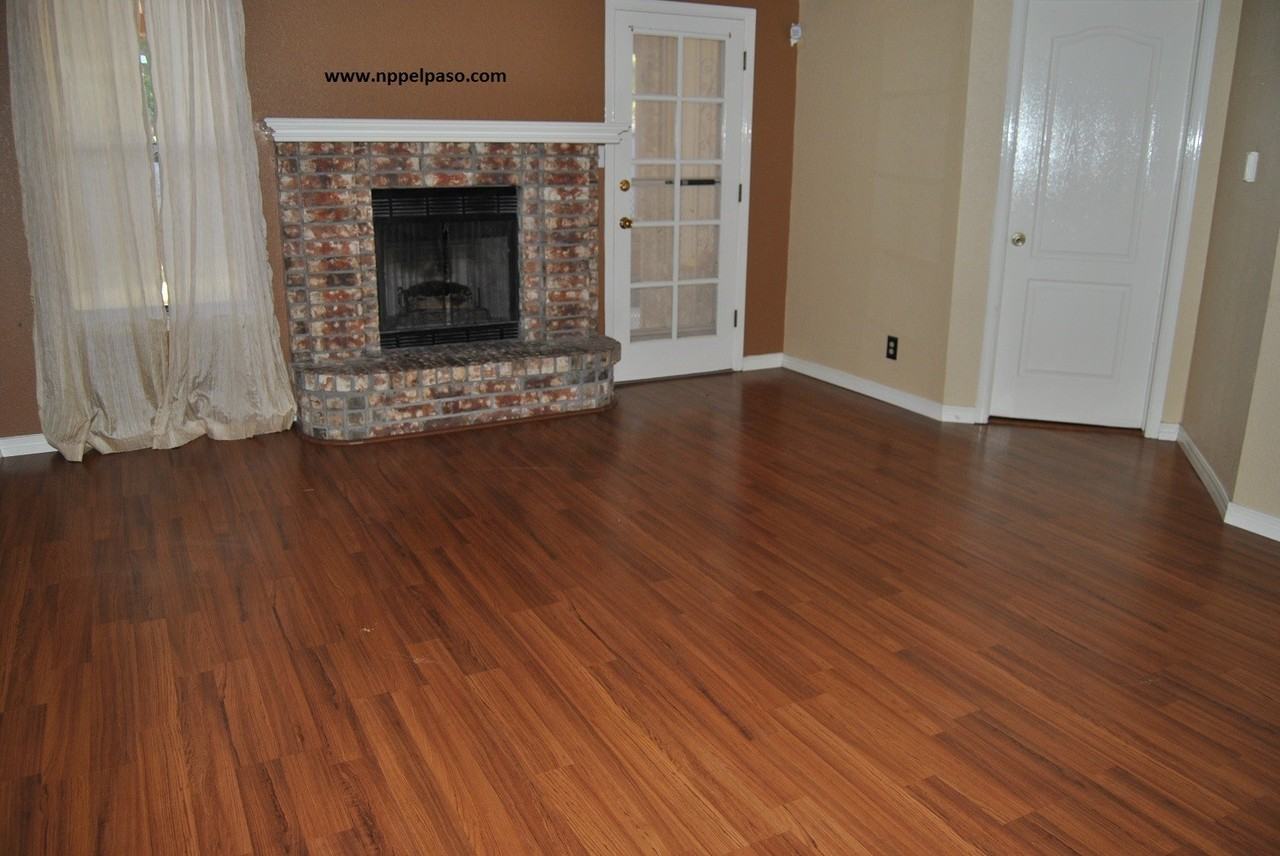 11534 Caballo Lake Dr - Photo 3 of 16