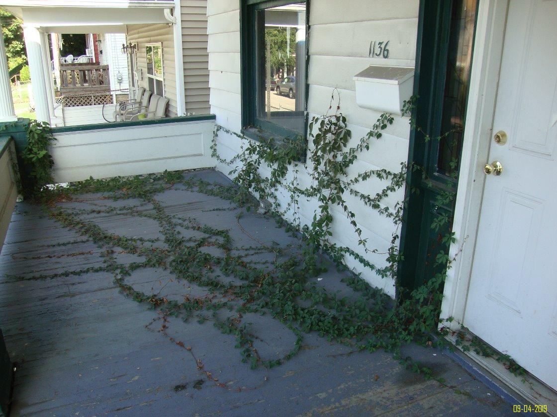 1136 Reservoir Avenue - Photo 3 of 8