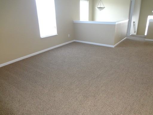 12024 Seahawks Ln - Photo 2 of 17