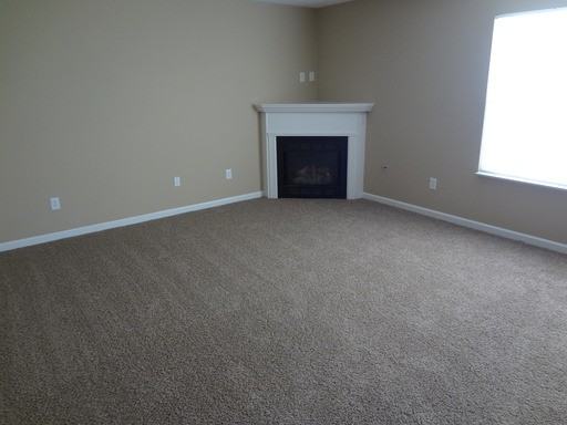 12024 Seahawks Ln - Photo 3 of 17