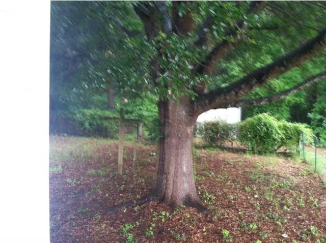 3330 Habitat Blvd - Photo 2 of 13