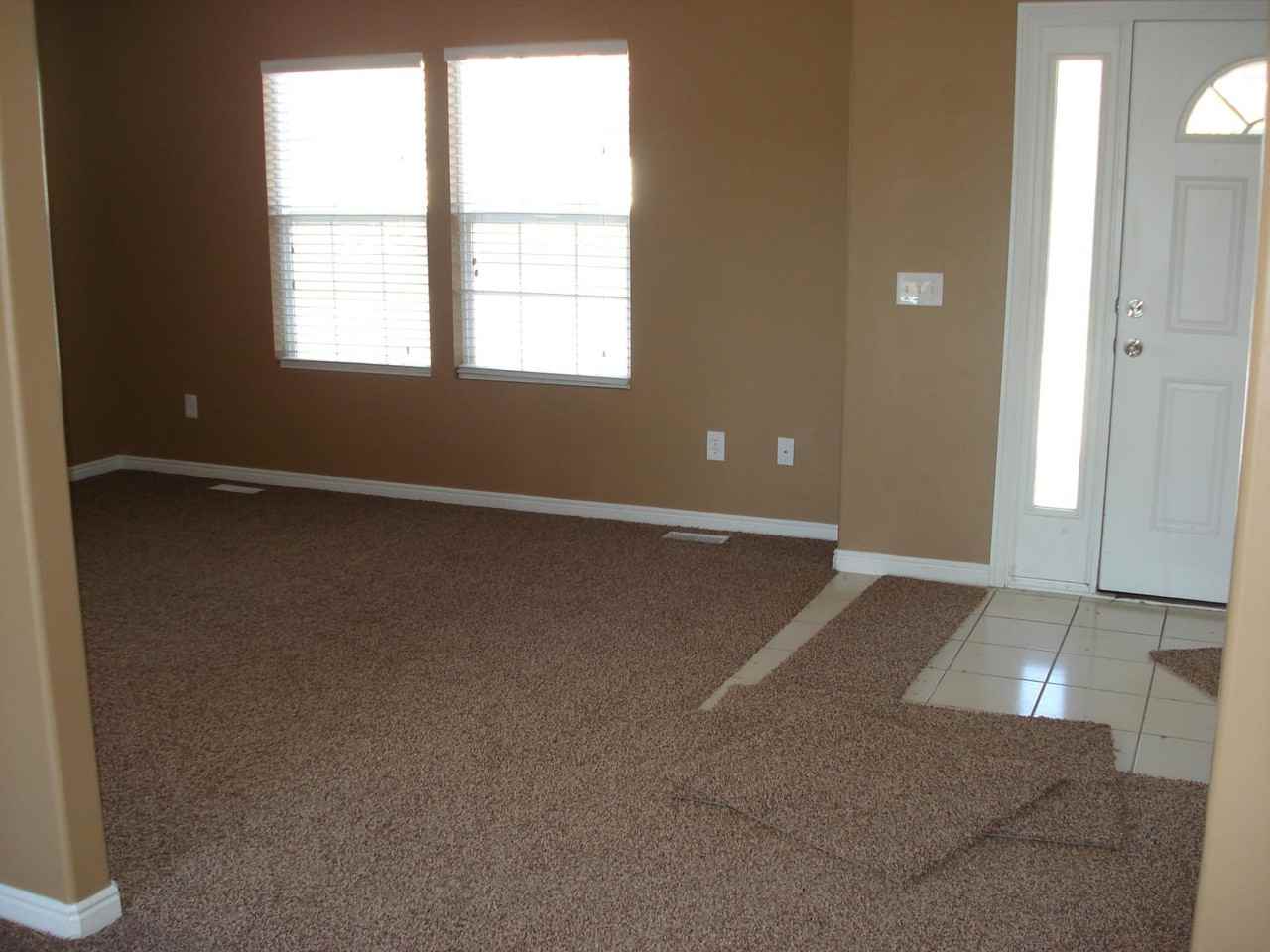 6839 Bottlebrush Ln - Photo 3 of 11