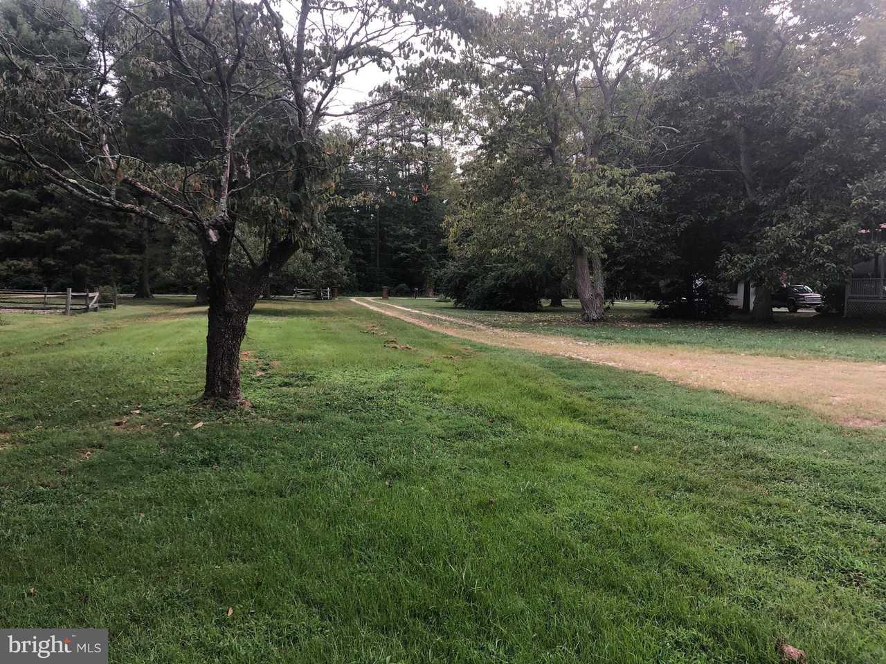 38070 Ed Brown Road - Photo 3 of 14