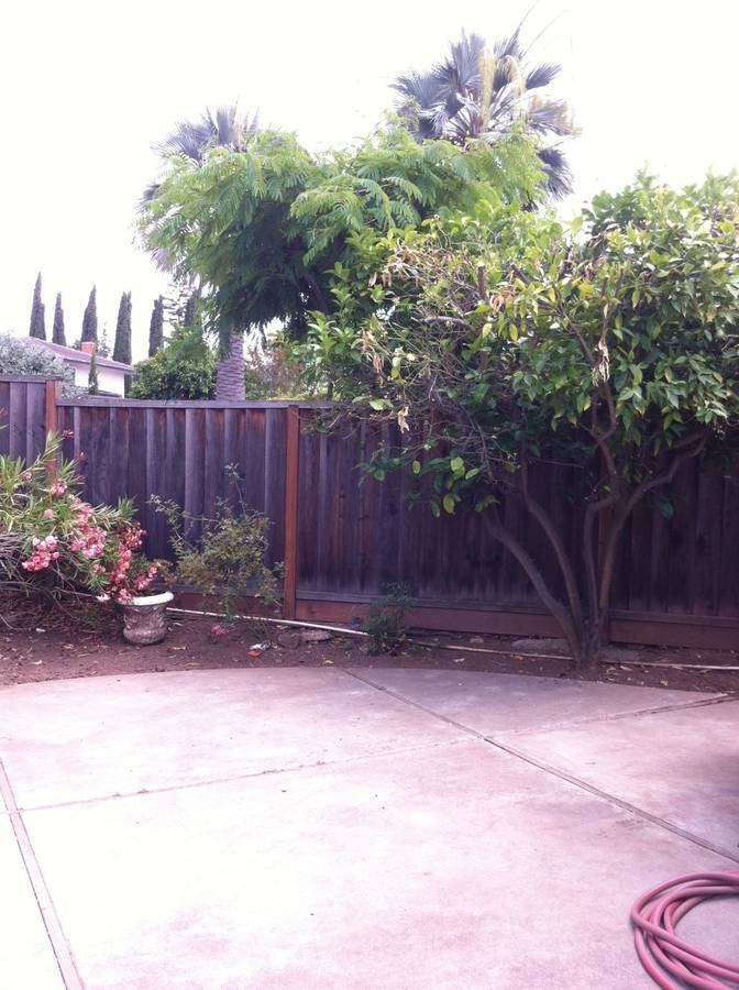 6876 Campisi Ct - Photo 3 of 11