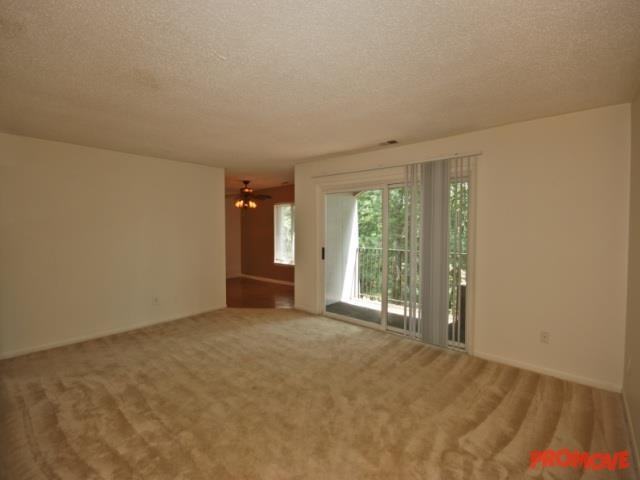 Brittany - Photo 2 of 10