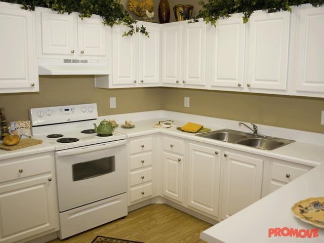 Tree Park - Photo 3 of 10