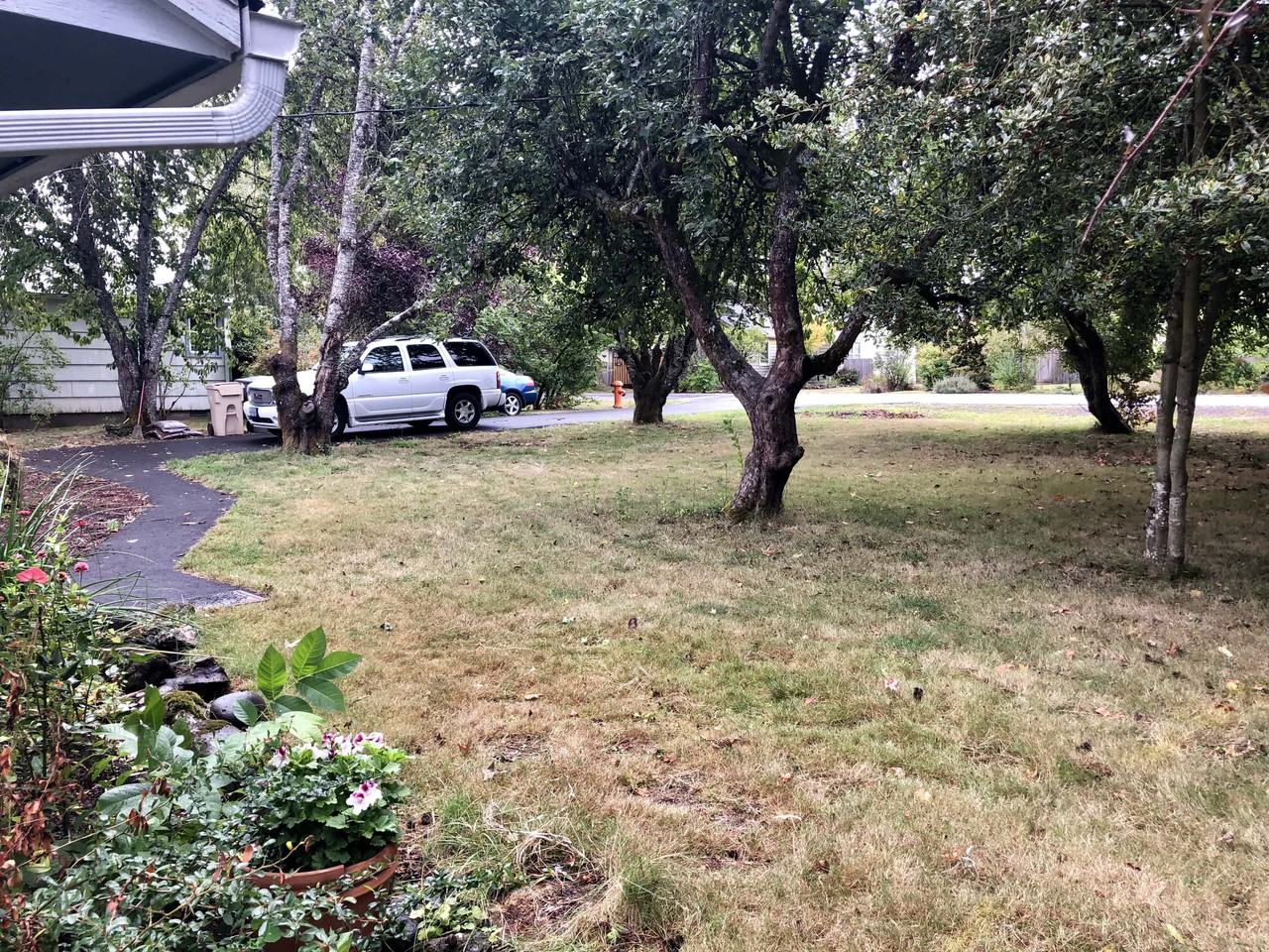 225 Se Richland Ave - Photo 3 of 24