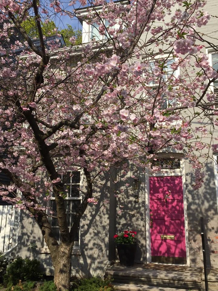 Yonge Summerhill - Photo 2 of 30