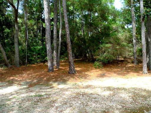 11289 AL-180 - Photo 3 of 17