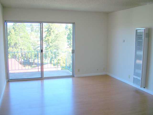 1737 Solano Avenue #307 - Photo 2 of 6