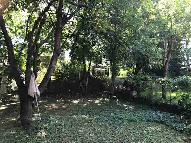 117 Cavell Avenue - Photo 2 of 12