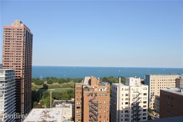 2930 N Sheridan Rd - Photo 3 of 25