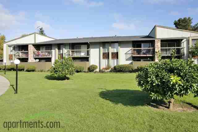 The Apricot Pit Apartments - Photo 3 of 17