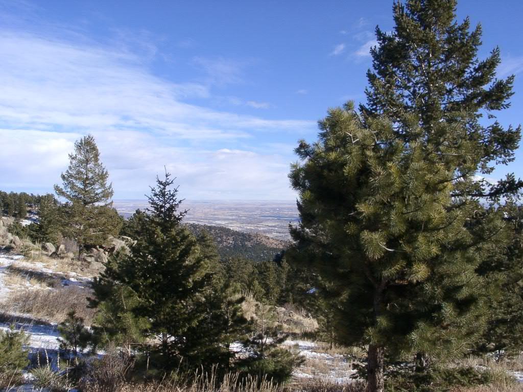 1040 Brook Rd - Photo 2 of 3