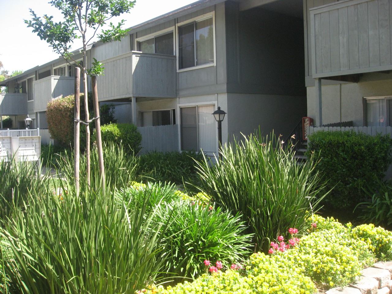 725 Howe Avenue #100 - Photo 3 of 11