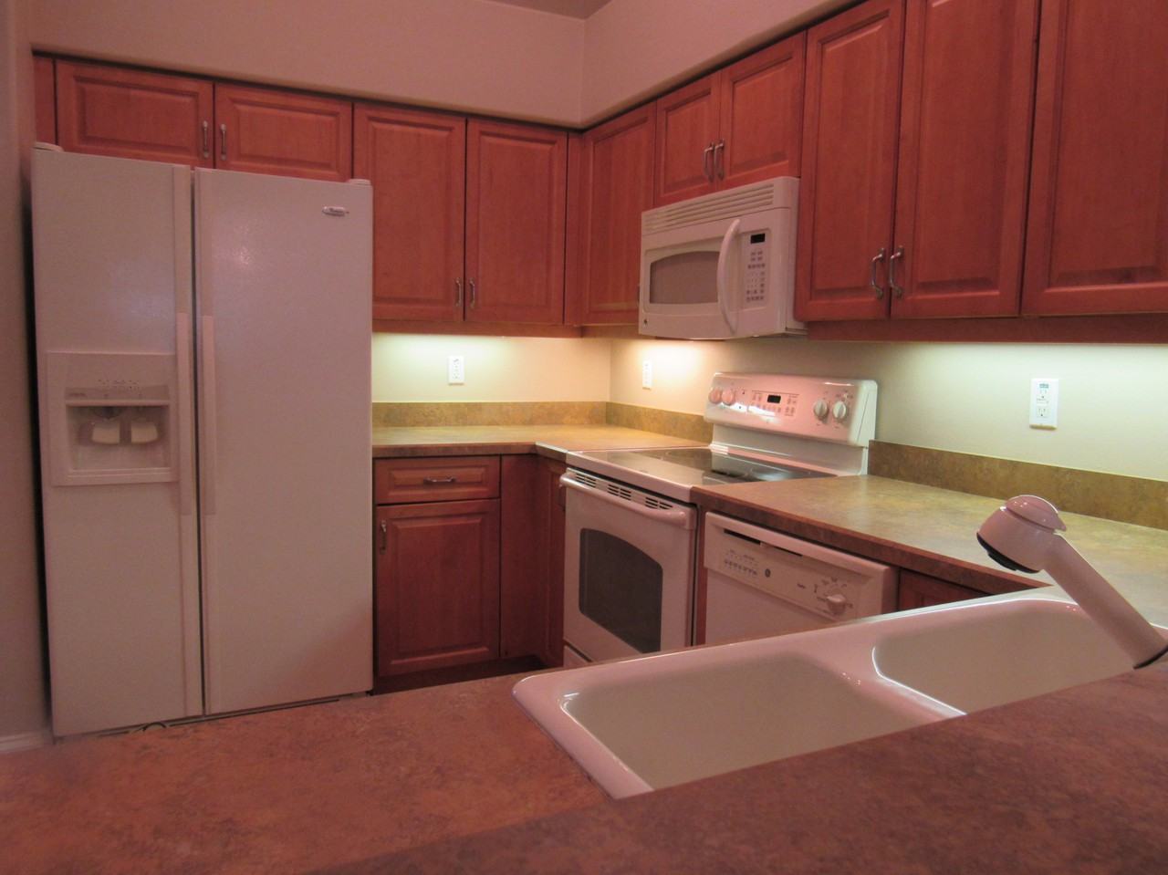 1643 Areca Palm Dr - Photo 3 of 12