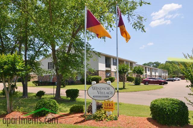 Windsor Village - Photo 3 of 11