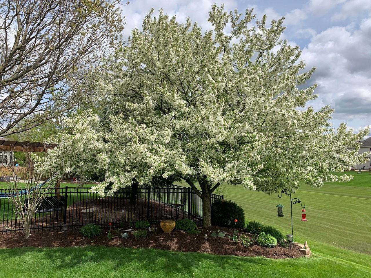 818 Columbia Cir - Photo 3 of 31