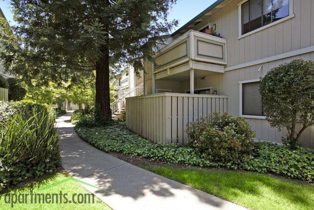 Antelope Creek Apartments - Photo 2 of 8
