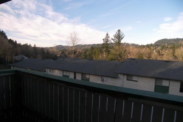 Hillsdale Terrace - Photo 3 of 12