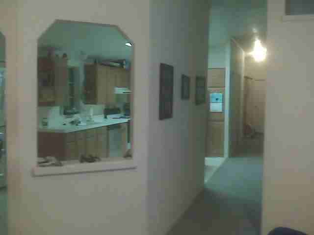 1840 Verbena Street - Photo 6 of 11