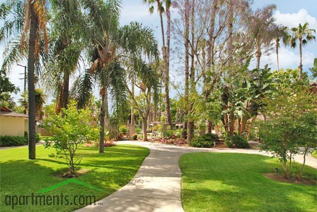 The Islander Apartments - Photo 2 of 14