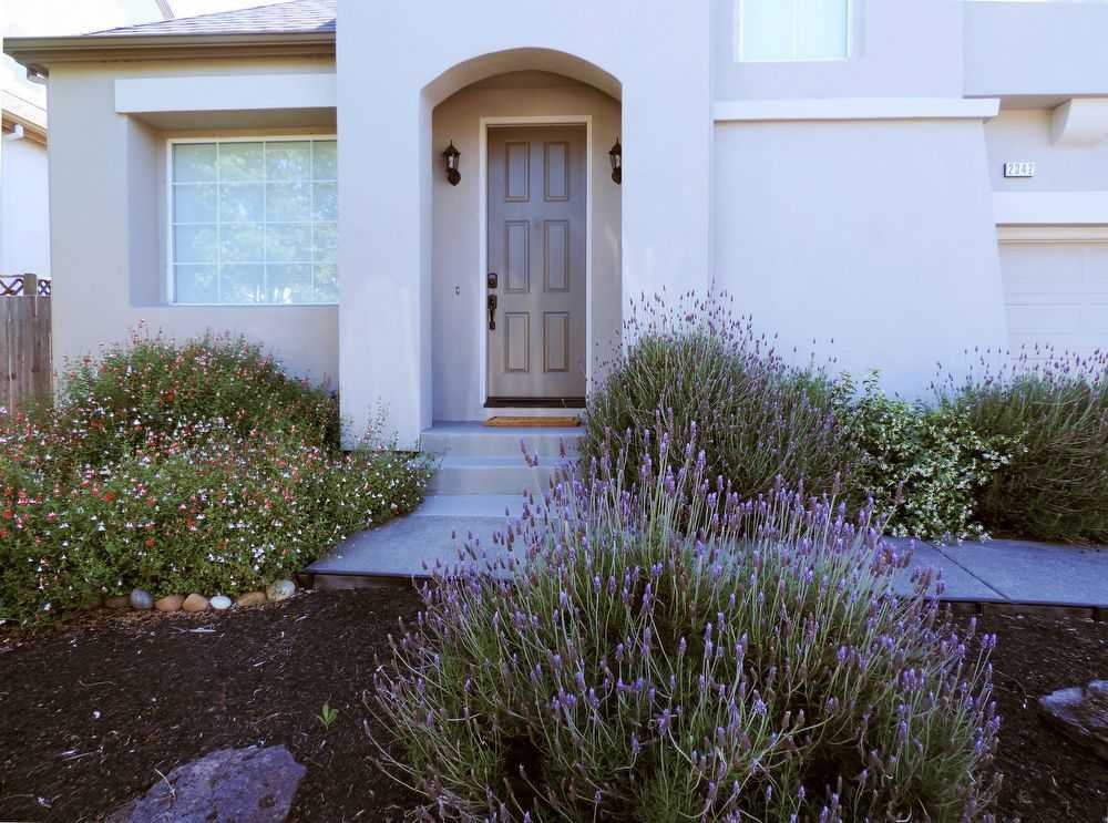 2342 Battersea Street - Photo 2 of 10