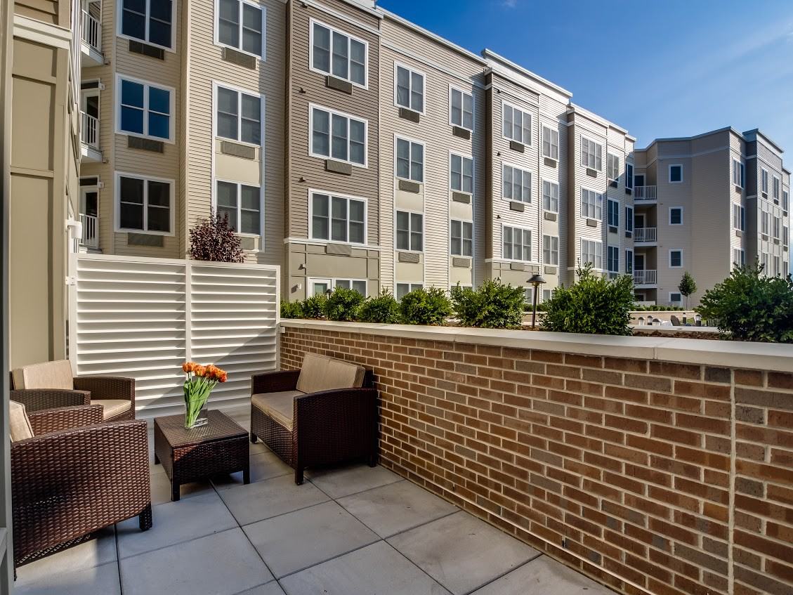 The Monarch - Photo 6 of 15