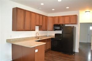 The Village at Chester - Photo 3 of 9