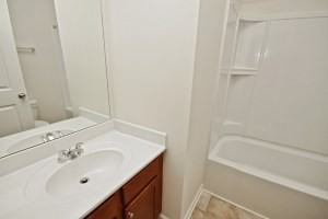 4314 Ewing Farm Ct, Loganville GA - Photo 3 of 20