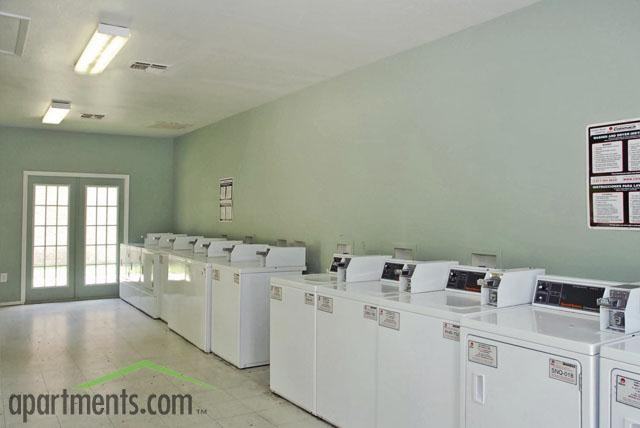 Cypress Shadows - Photo 3 of 15