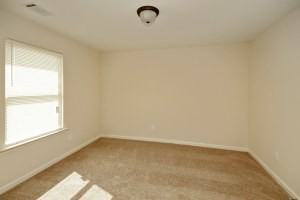 4325 Ewing Farm Ct, Loganville GA - Photo 3 of 20