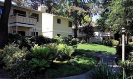 Central Park Apartments - 1055 Manet Drive, Sunnyvale, CA 94087 with 8